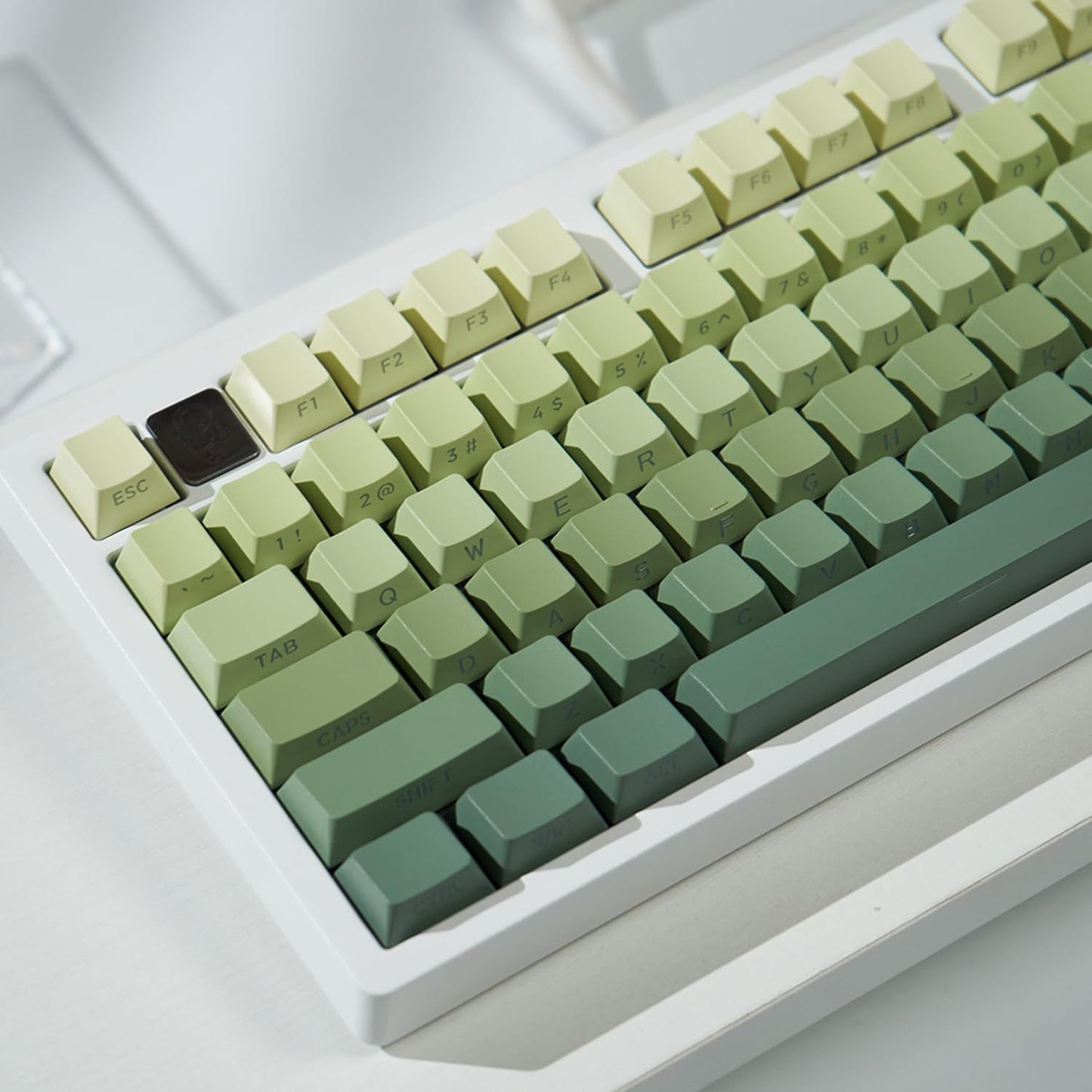 mintcaps PBT Doubleshot Keycaps 134 Keys Gradient Green Backlit OEM Profile Keycaps Side Print Shine Through Custom Keycaps Set for 60% 65% 75% 100% Cherry Gateron MX Switches Mechanical Keyboard