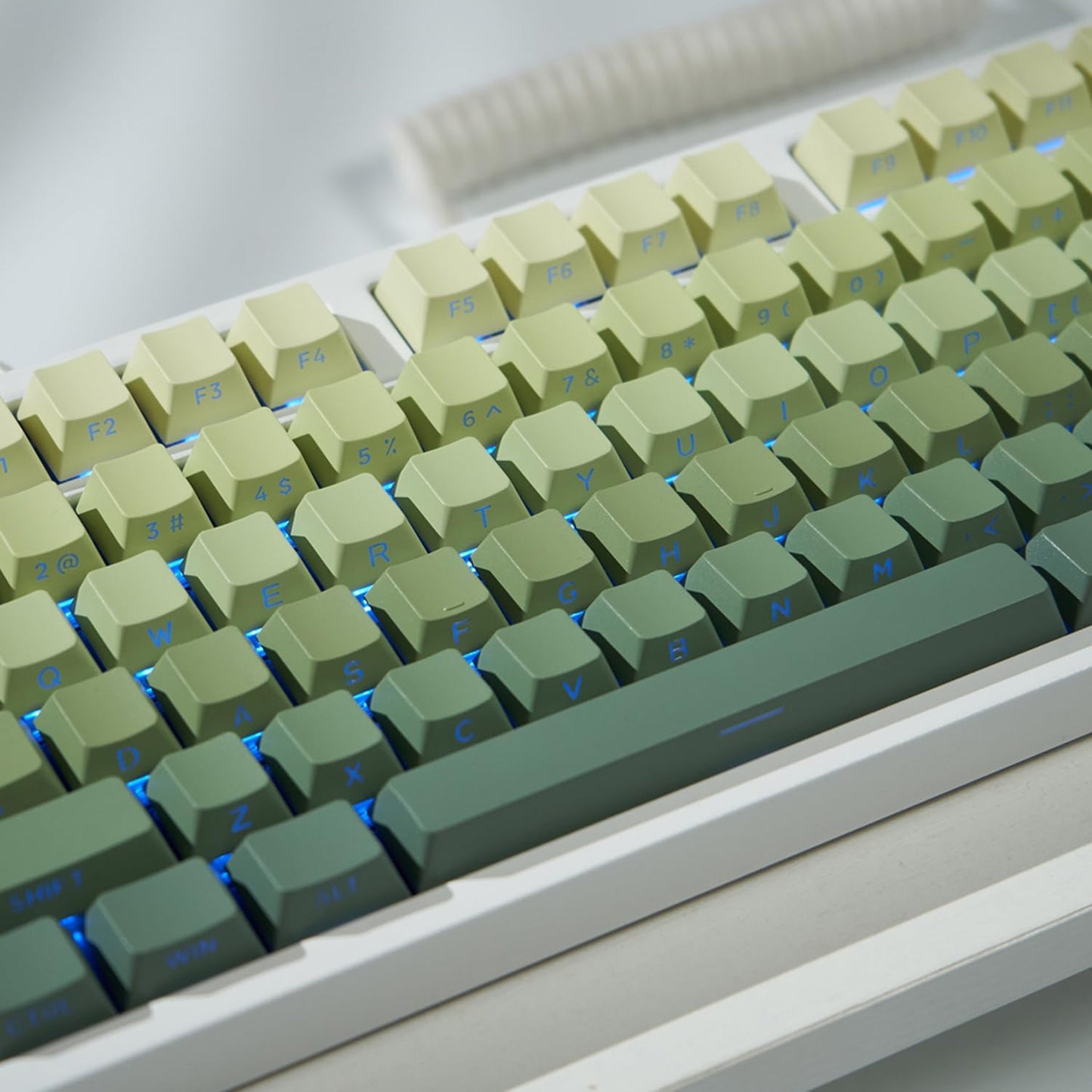 mintcaps PBT Doubleshot Keycaps 134 Keys Gradient Green Backlit OEM Profile Keycaps Side Print Shine Through Custom Keycaps Set for 60% 65% 75% 100% Cherry Gateron MX Switches Mechanical Keyboard