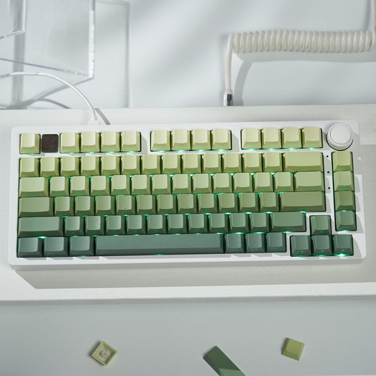 mintcaps PBT Doubleshot Keycaps 134 Keys Gradient Green Backlit OEM Profile Keycaps Side Print Shine Through Custom Keycaps Set for 60% 65% 75% 100% Cherry Gateron MX Switches Mechanical Keyboard