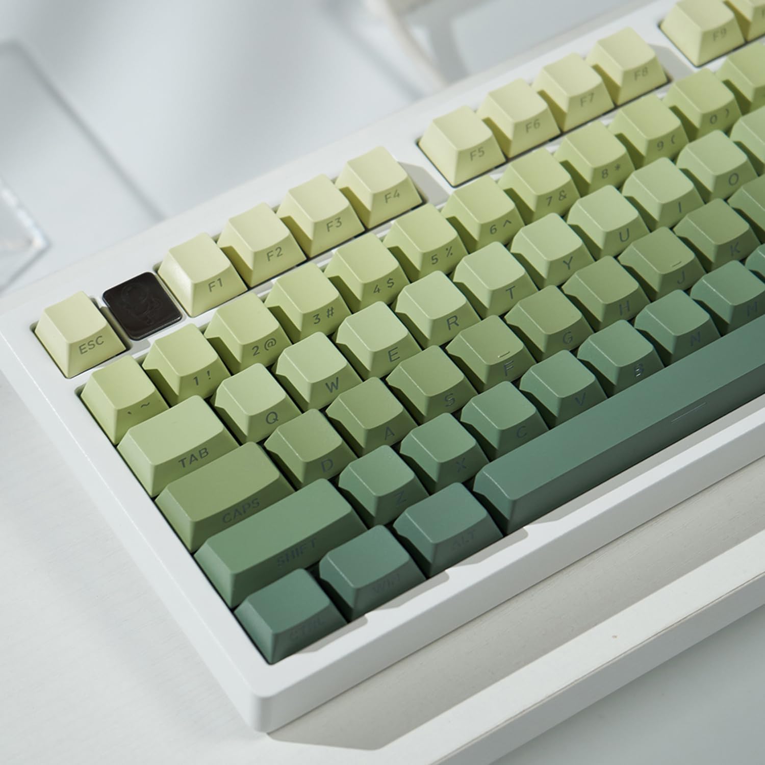 mintcaps PBT Doubleshot Keycaps 134 Keys Gradient Green Backlit OEM Profile Keycaps Side Print Shine Through Custom Keycaps Set for 60% 65% 75% 100% Cherry Gateron MX Switches Mechanical Keyboard